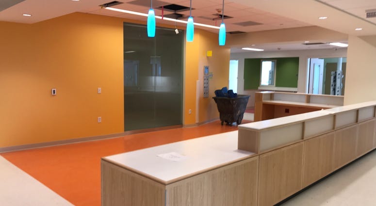 Oshei Children's Hospital passes 90% completion