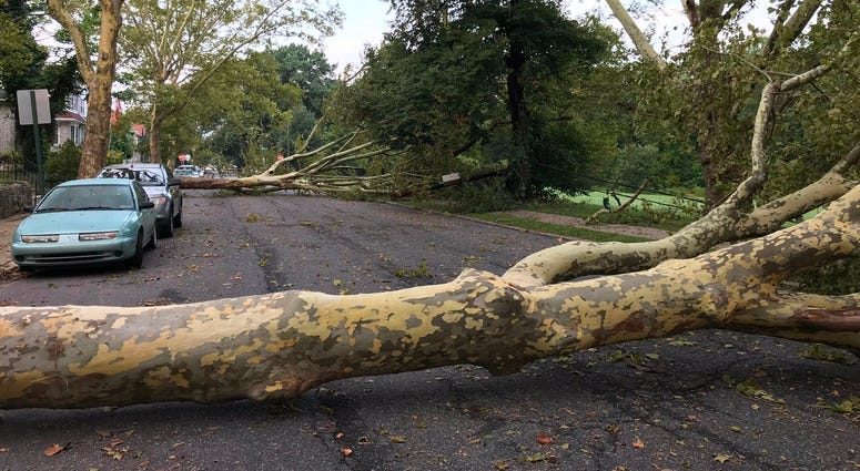 Trees, power lines down as another storm leaves its mark on Philly area