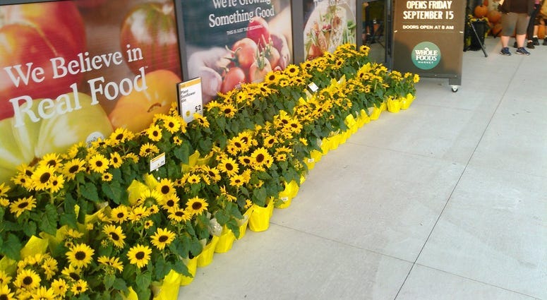 Inside Whole Foods