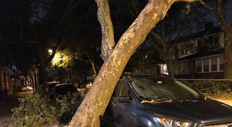 Trees, power lines down as another storm leaves its mark on Philly area