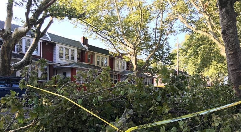Trees, power lines down as another storm leaves its mark on Philly area