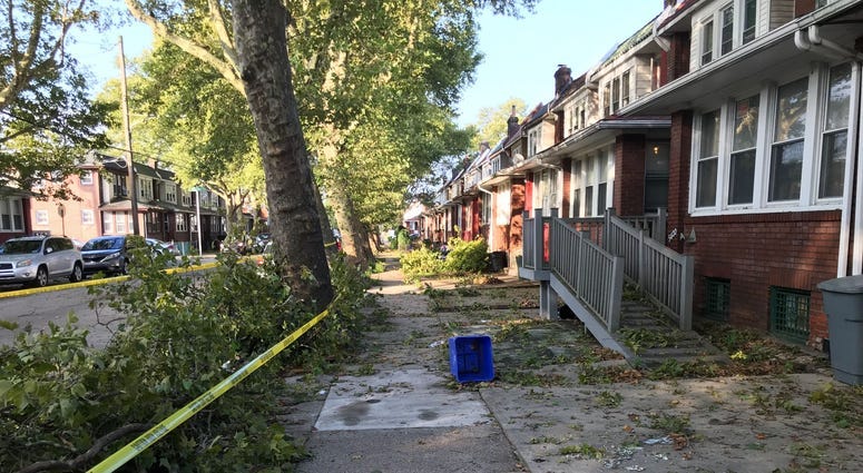 Trees, power lines down as another storm leaves its mark on Philly area