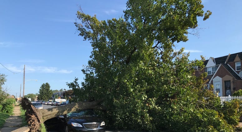 Trees, power lines down as another storm leaves its mark on Philly area