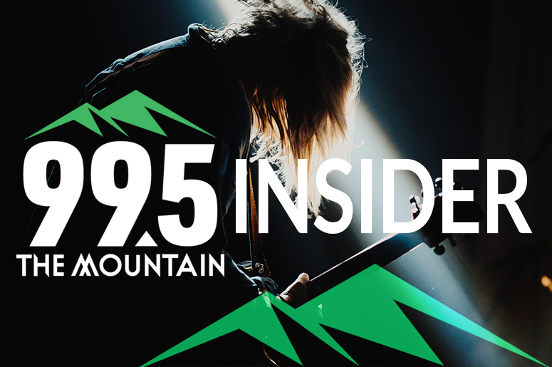 995themountain -  newsletter