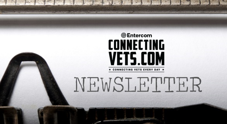 connectingvets - newsletter