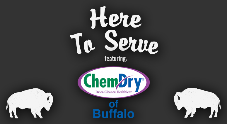 Here to Serve - Donna Scalfaro of Chem-Dry of Buffalo