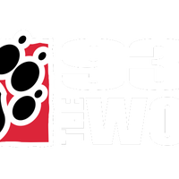 93.1 The Wolf logo