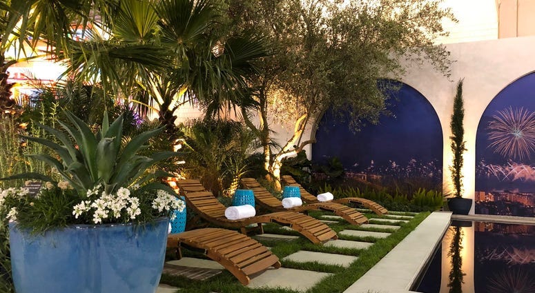2020 Flower Show: An escape to South of France … an escape from germs 4