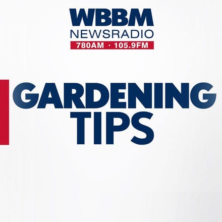 link to Gardening Tips